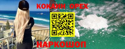 гашик Аргун