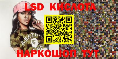 гашик Аргун