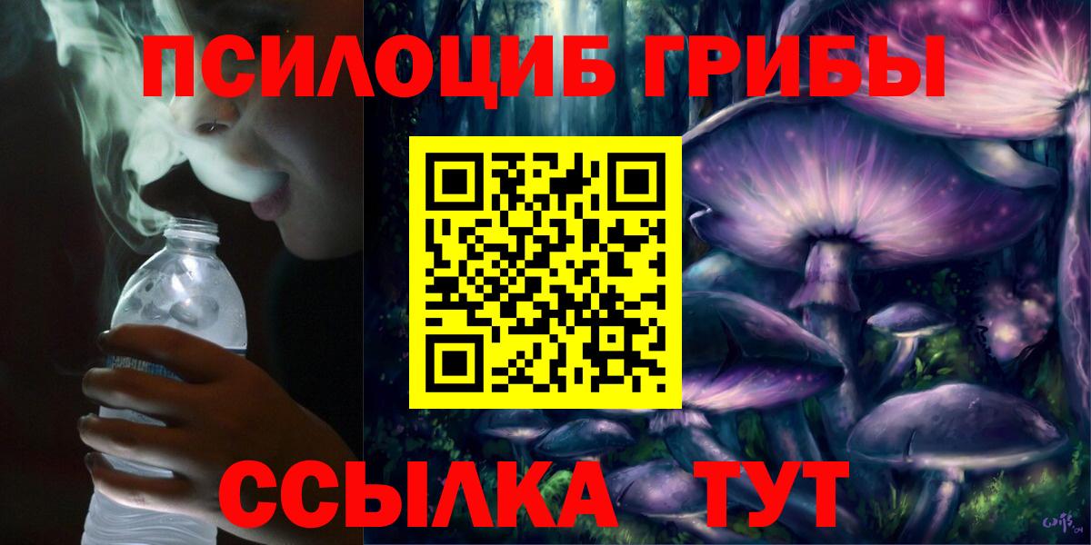 Псилоцибиновые грибы Cubensis Карасук