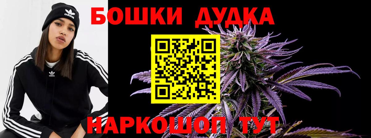 Бошки марихуана планчик  Марихуана White Widow  Канабис семена  Карасук 